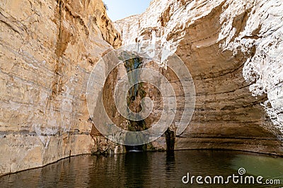 The canyon Ein Avdat is formed by the Qing River. Israel. Picturesque waterfall in the middle of the Negev desert Stock Photo