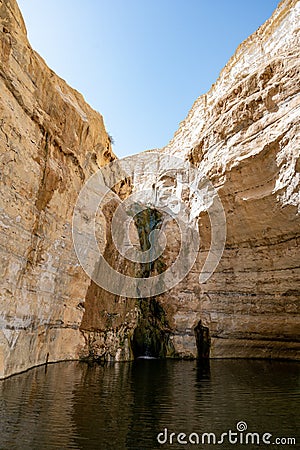 The canyon Ein Avdat is formed by the Qing River. Israel. Picturesque waterfall in the middle of the Negev desert Stock Photo