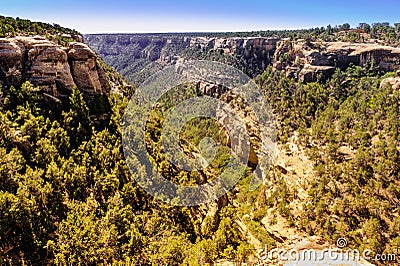 Canyon at Mesa Verde Stock Photo