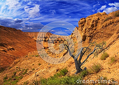 Canyon plateau Ustyurt in Kazakhstan Stock Photo