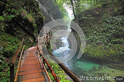 Canyon Vintgar, Triglav - Slovenia, Stock Photo