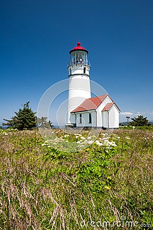 Cape Blanco Lighthouse with native flowers Stock Photo