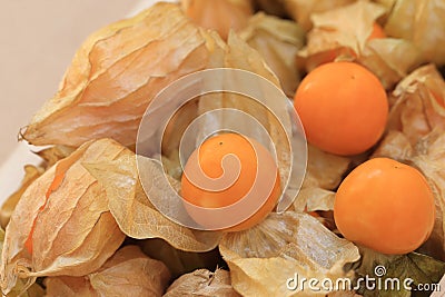 Cape gooseberry, disclose leaf to see the fruit inside Stock Photo