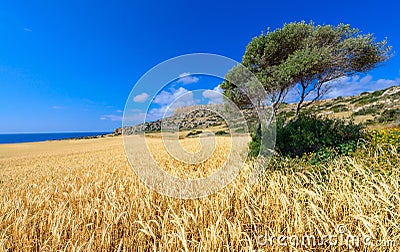 Cape greco view 1 Stock Photo