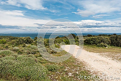 Cape Kamenjak, Istra, Croatia Stock Photo