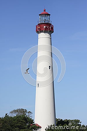 Cape May Lighthouse Stock Photo