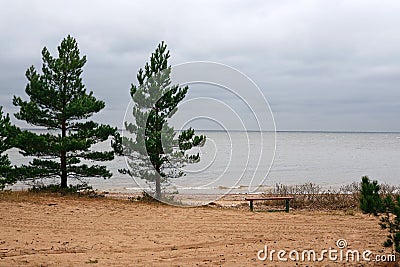 Cape Naval coast of the Gulf of Finland a place of rest near the forest Stock Photo