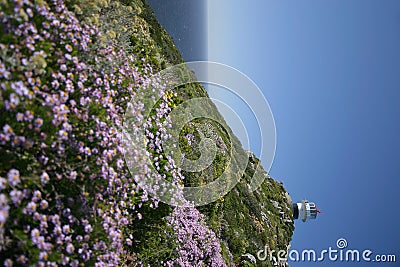 Cape point Stock Photo