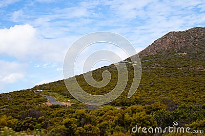 Colorful and bushy mountain slope along the Cape Peninsula. Editorial Stock Photo