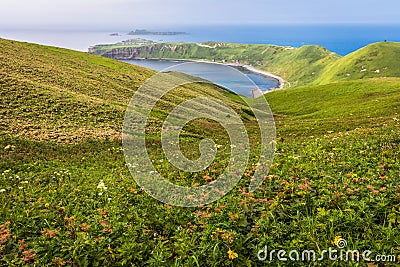 Cape Sukoton, Todo Island, and the Wildflowers of the Cape Tour Stock Photo