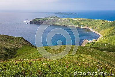 Cape Sukoton, Todo Island, and the Wildflowers of the Cape Tour Stock Photo