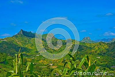 Cape Verde Volcanic Landscape, Corn Plant, Green Fertile Mountains Slopes Stock Photo