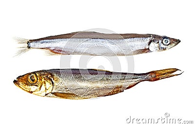 Capelin fish and smoked sprat isolated on white background Stock Photo