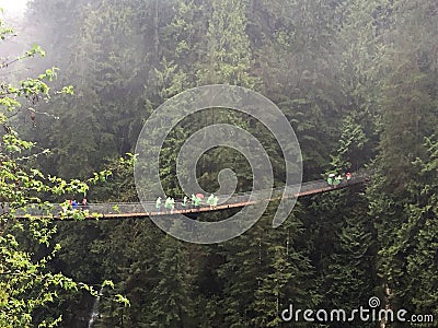 Capilano Suspension Bridge amongst the trees, Vancouver, Canada Stock Photo