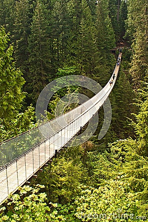 Capilano suspension bridge in Canada Stock Photo