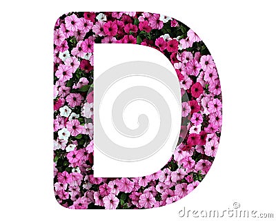 Capital letter D made of pink petunia flowers isolated on white background Stock Photo