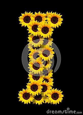 Capital letter I made of yellow sunflowers Stock Photo