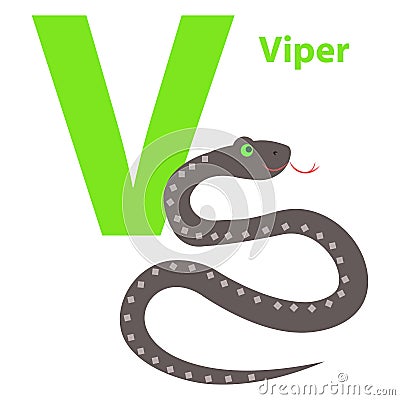 Capital Letter V Viper on Alphabet Poster Flat Vector Illustration