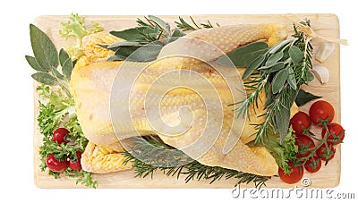 Capon Stock Photo