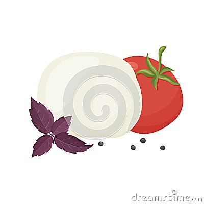 Caprese Salad Set. Italian cheese mozzarella, black pepper peas, tomato, purple basil. Hand drawn cartoon illustration. Isolated Vector Illustration