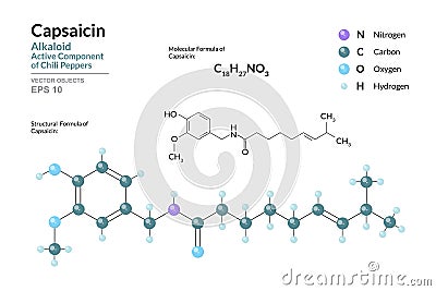 Capsaicin. Active Component of Chili Peppers. Structural Chemical Formula and Molecule 3d Model. C18H27NO3 Vector Illustration