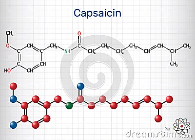 Capsaicin, alkaloid, C18H27NO3 molecule. It is chili pepper extract with non-narcotic analgesic properties. Structural chemical Vector Illustration