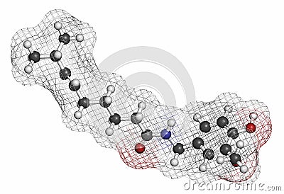 Capsaicin chili pepper molecule. Used in food, drugs, pepper spray, etc. Atoms are represented as spheres with conventional color Stock Photo