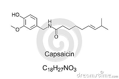 Capsaicin, active component in chili peppers, chemical formula and structure Vector Illustration