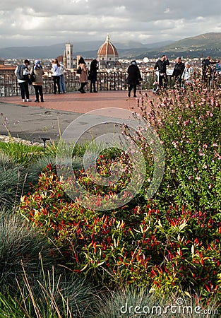 Capsicum annuum, in a flowerbed, grow into a large, shrubby perennial herb. Firenze cityscape in the background Editorial Stock Photo