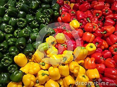 Capsicum of different colours Stock Photo