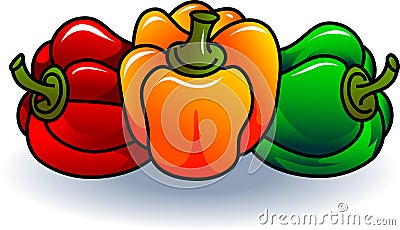 Capsicum Vector Illustration