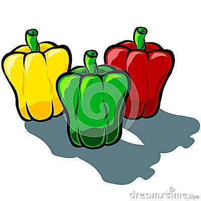 Capsicum Tri Color Vector Illustration