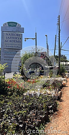 Nature's Corner: Roadside Sale of Seedlings and Flowers in Lavington, Nairobi Editorial Stock Photo