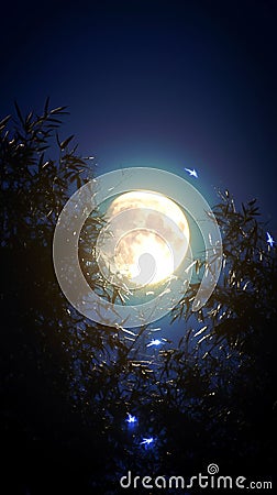 Captivating shot of full moon rising amidst lush green plants Stock Photo