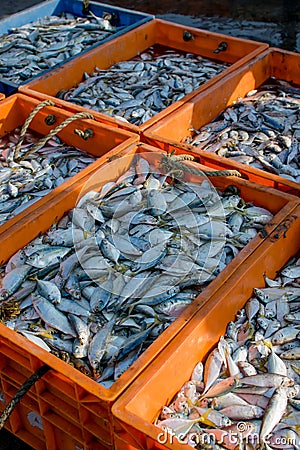 Captured fishes filled in crates to sell. Used selective focus Stock Photo