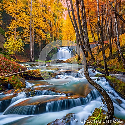 CAPTURING THE BEAUTY OF CARPATHIAN WATERFALLS AMIDST AUTUMN'S SPLENDOR Vector Illustration