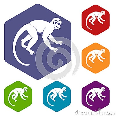 Capuchin monkey icons set hexagon Vector Illustration