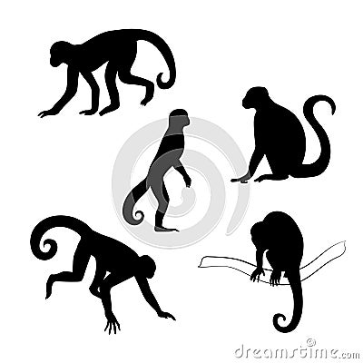 Capuchin monkey vector silhouettes Vector Illustration