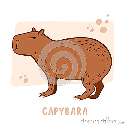 Capybara. Vector color illustration of capybara. Drawing of an animal in cartoon style Cartoon Illustration