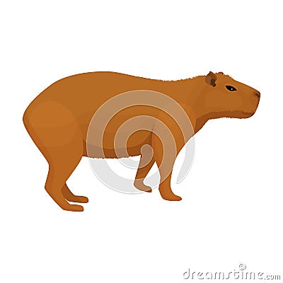 Capybara vector icon.Cartoon vector icon isolated on white background capybara. Vector Illustration