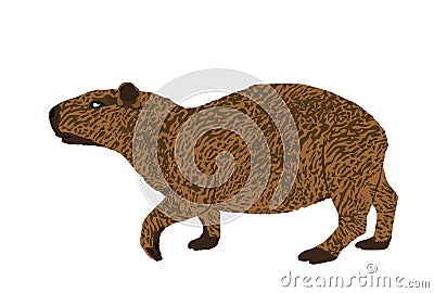 Capybara vector illustration isolated on white background. Vector Illustration