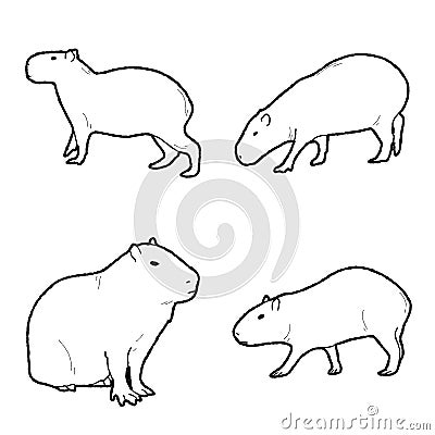 Capybera Vector Illustration Hand Drawn Animal Cartoon Art Vector Illustration