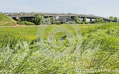 Car brigde and grass Stock Photo