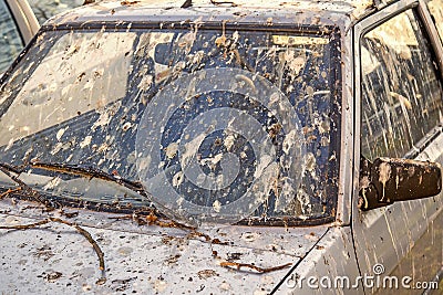 Car covered with bird poop 2 Stock Photo