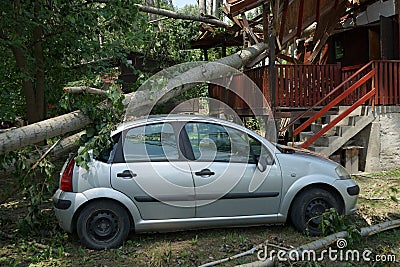 A car damaged by hurricane with fallen tree on the house and car Stock Photo