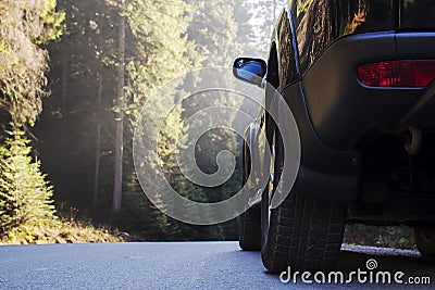 Car driving forest road and sun beams Stock Photo