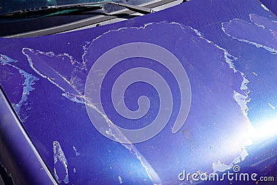 Car engine hood blue used paint faded grunge on front bonnet Stock Photo