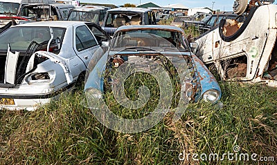 Car junkyard with wreck of a destroyed cars. Environmental pollution metal recycling. Editorial Stock Photo