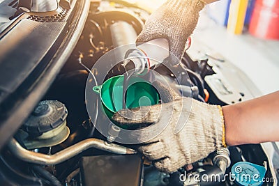 Car maintenance change oil and filling engine lube Stock Photo