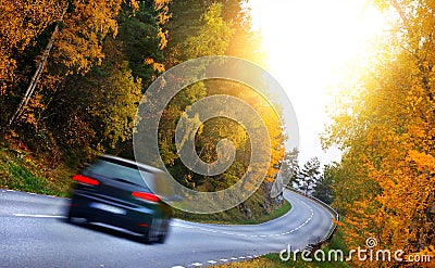 Car on the road in the fores Stock Photo